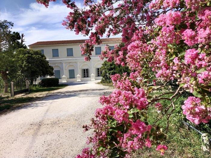 Hotel Le Floreal Le Soler ภายนอก รูปภาพ